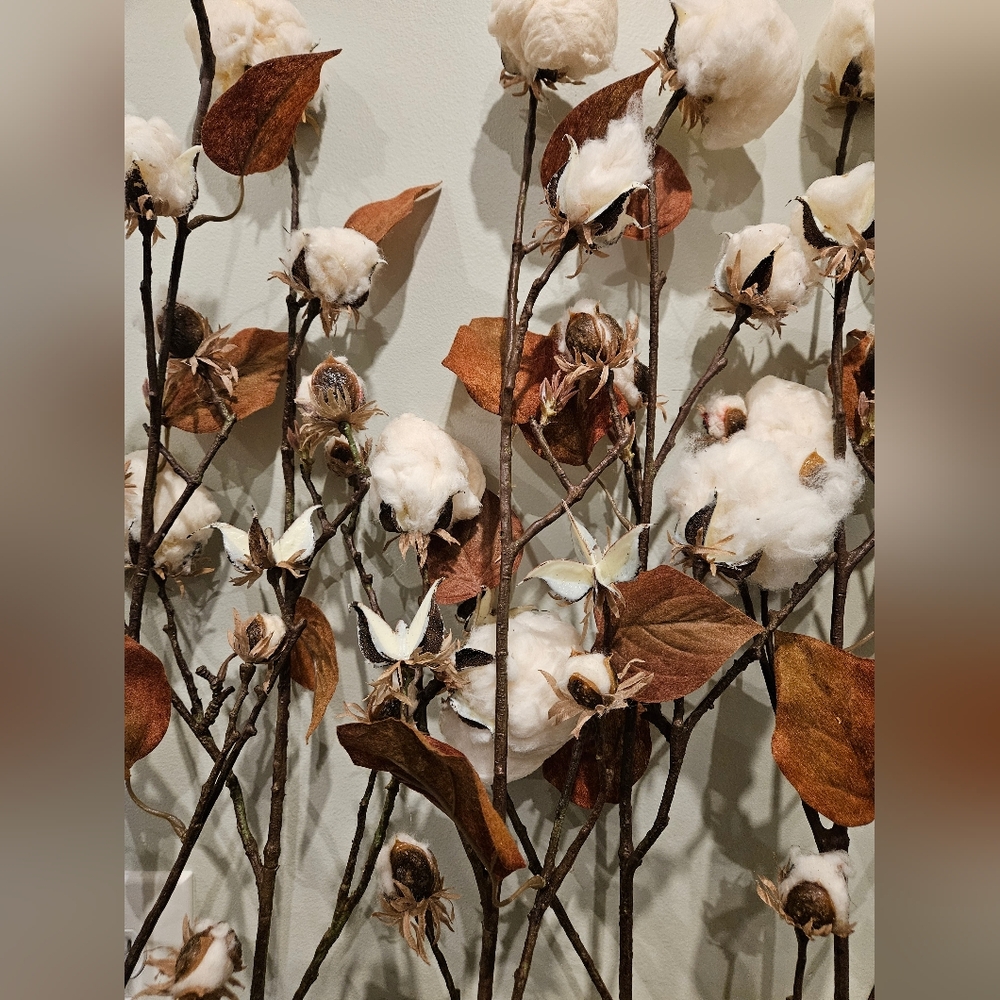 Farmhouse Cotton Arrangement Rustic Long Stems Set of 5 Cotton Branches 35" - Picture 7 of 8